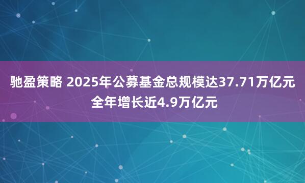 驰盈策略 2025年公募基金总规模达37.71万亿元 全年增长近4.9万亿元
