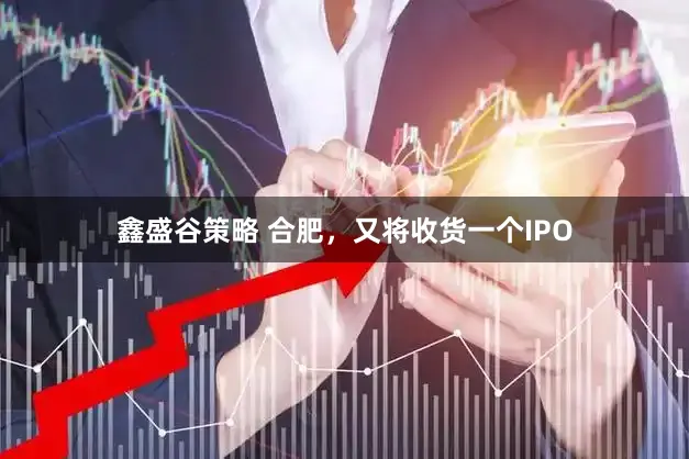 鑫盛谷策略 合肥，又将收货一个IPO