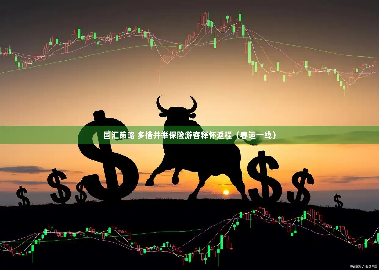 国汇策略 多措并举保险游客释怀返程（春运一线）