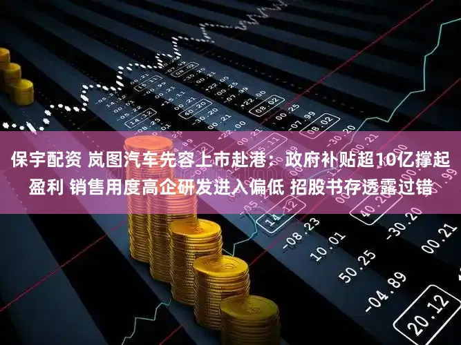保宇配资 岚图汽车先容上市赴港：政府补贴超10亿撑起盈利 销售用度高企研发进入偏低 招股书存透露过错
