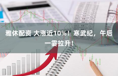 雅休配资 大涨近10%！寒武纪，午后一霎拉升！
