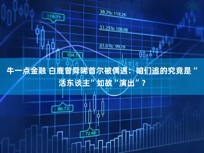 牛一点金融 白鹿曾舜晞首尔被偶遇：咱们追的究竟是“活东谈主”如故“演出”？