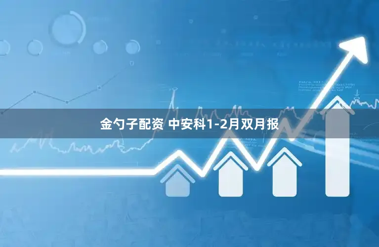 金勺子配资 中安科1-2月双月报