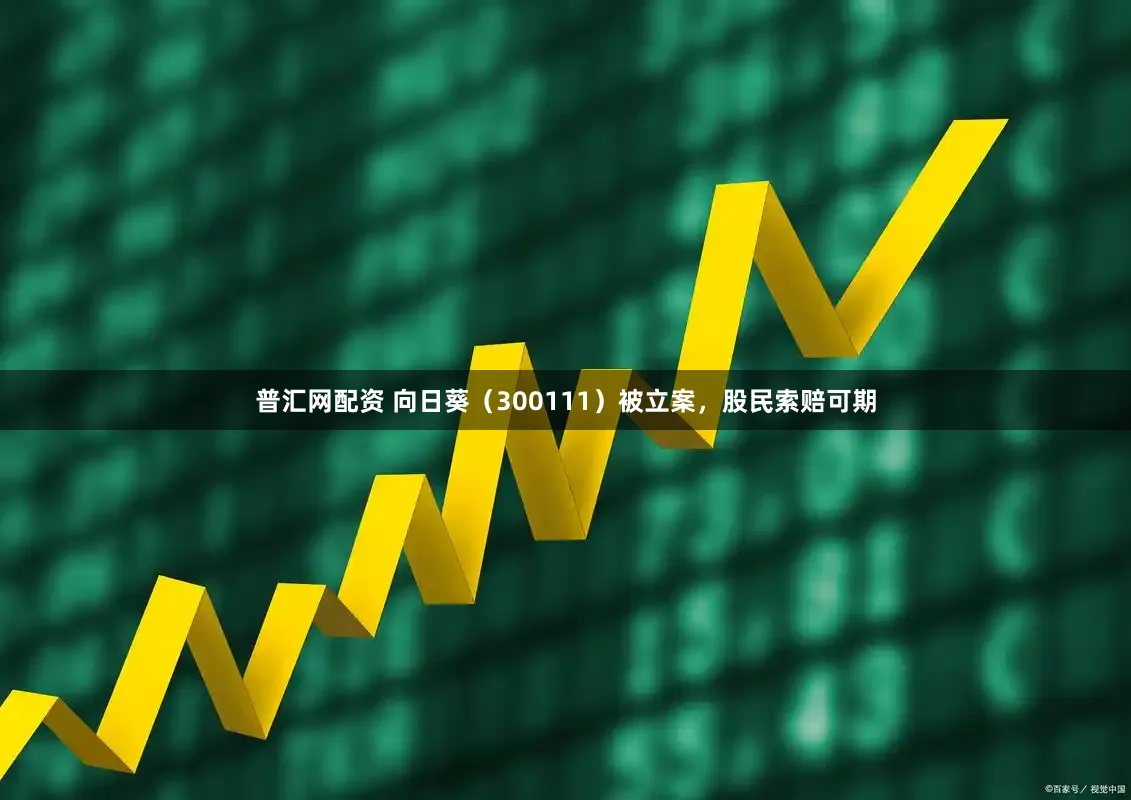 普汇网配资 向日葵（300111）被立案，股民索赔可期
