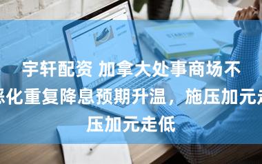 宇轩配资 加拿大处事商场不测恶化重复降息预期升温，施压加元走低