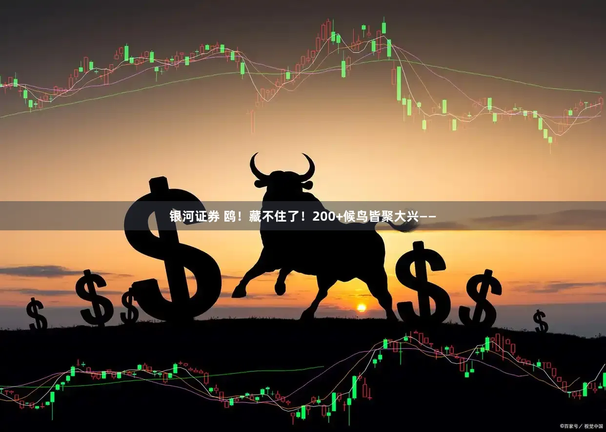 银河证券 鸥！藏不住了！200+候鸟皆聚大兴——