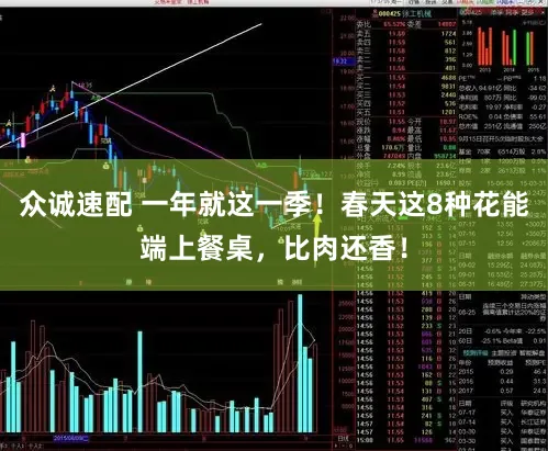 众诚速配 一年就这一季！春天这8种花能端上餐桌，比肉还香！