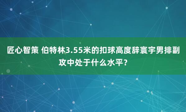 匠心智策 伯特林3.55米的扣球高度辞寰宇男排副攻中处于什么水平?