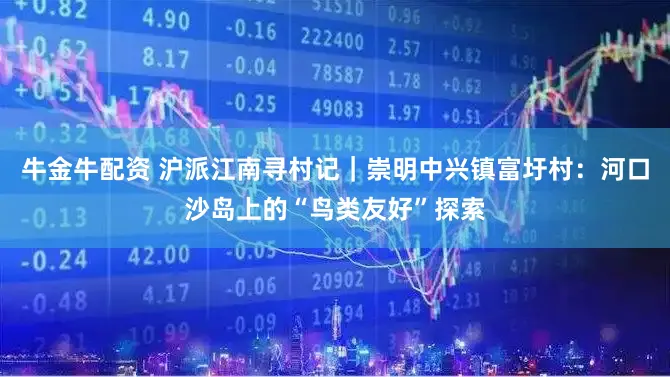 牛金牛配资 沪派江南寻村记｜崇明中兴镇富圩村：河口沙岛上的“鸟类友好”探索