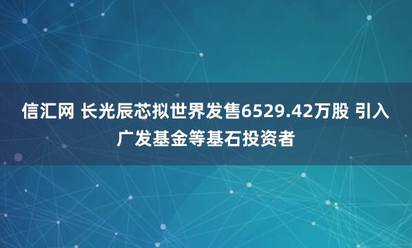 信汇网 长光辰芯拟世界发售6529.42万股 引入广发基金等基石投资者