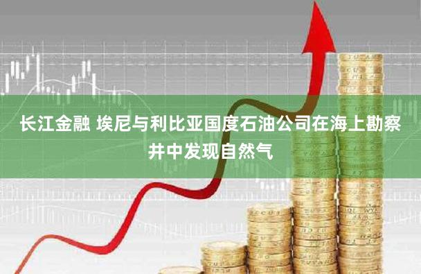 长江金融 埃尼与利比亚国度石油公司在海上勘察井中发现自然气