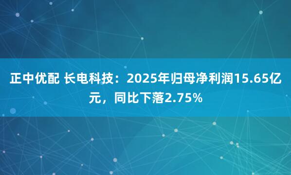 正中优配 长电科技：2025年归母净利润15.65亿元，同比下落2.75%