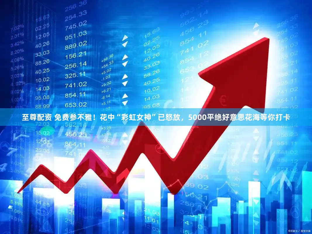 至尊配资 免费参不雅！花中“彩虹女神”已怒放，5000平绝好意思花海等你打卡
